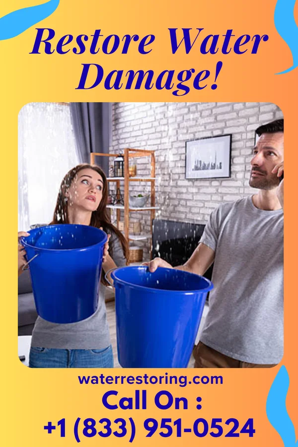 water restoration Diamond Water Mitigation Brothers Knoxville